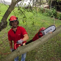 Kép 3/9 - Einhell GC-EC 750 T elektromos magassági ágvágó láncfűrész