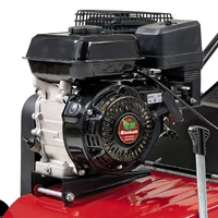 Kép 2/3 - Einhell GC-SC 2240 P benzinmotoros gyepszellőztető